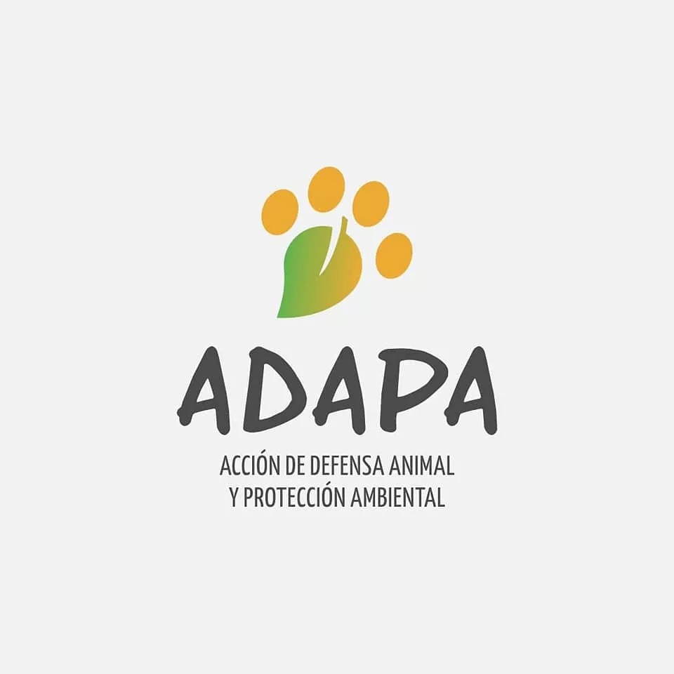La ONG ADAPA ofrece seis perros en adopción