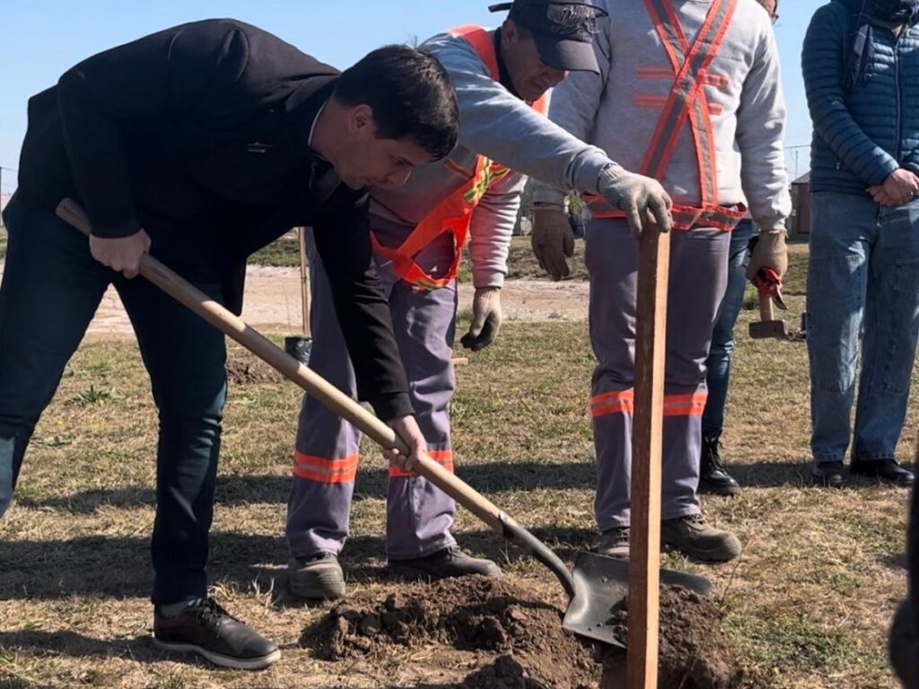 Plantación de árboles en la semana del árbol