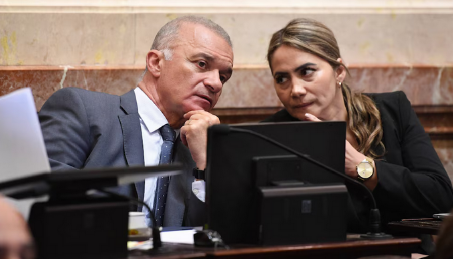 ¿Cuáles fueron las razones para que se cayera “ficha limpia”?