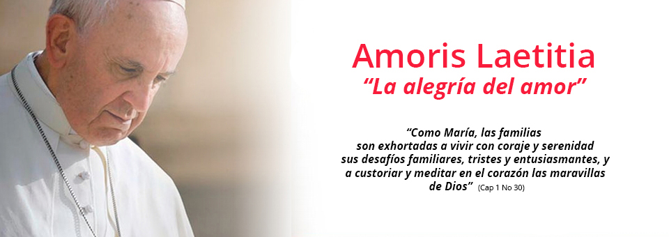 El legado del papa Francisco para las familias
