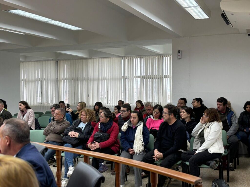 El Concejo se mostró a favor de la emergencia en discapacidad