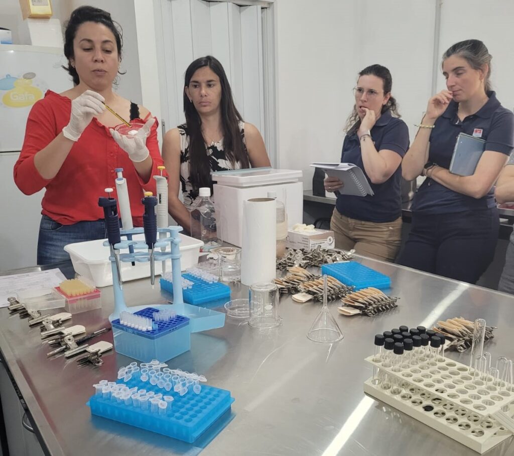 INTA Rafaela: avanzar en el diagnóstico de resistencia a drogas garrapaticidas