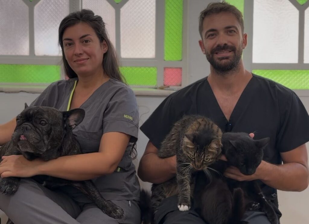 El Concejo Municipal de Rafaela se sumó a la concientización sobre la pirotecnia sonora