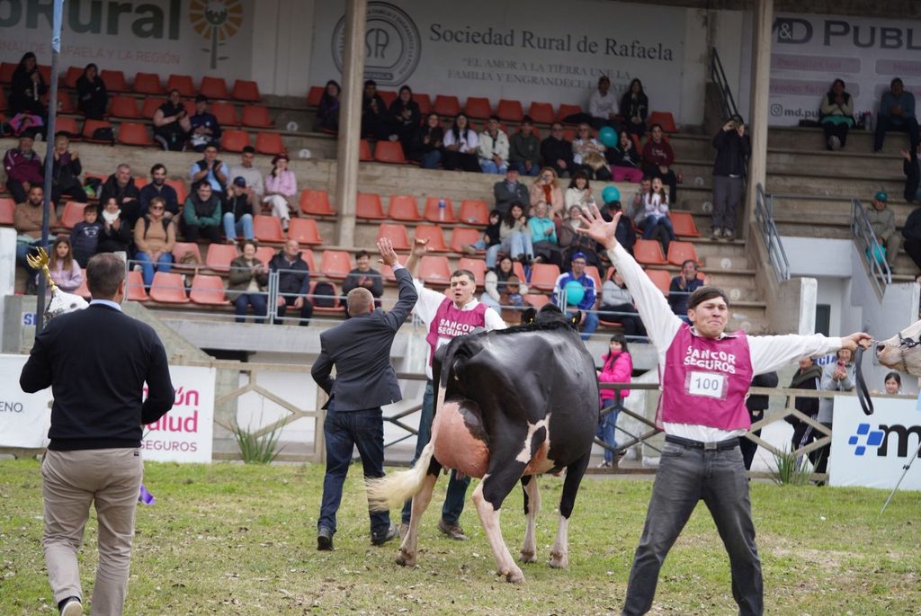 Cristal de La Luisa fue la elegida en la pista de la Expo Rural