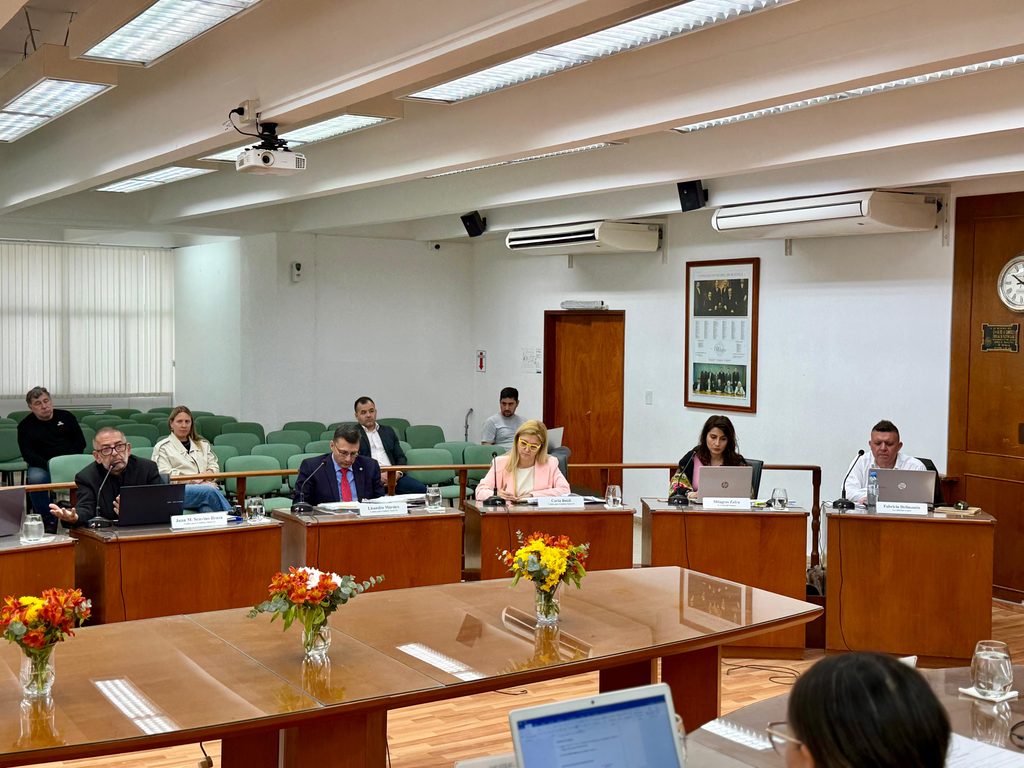 Las obras en los ex Almacenes Ripamonti generaron un debate interminable